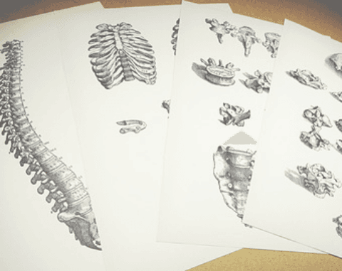 Absolute Health Chiropractic - Photo 1