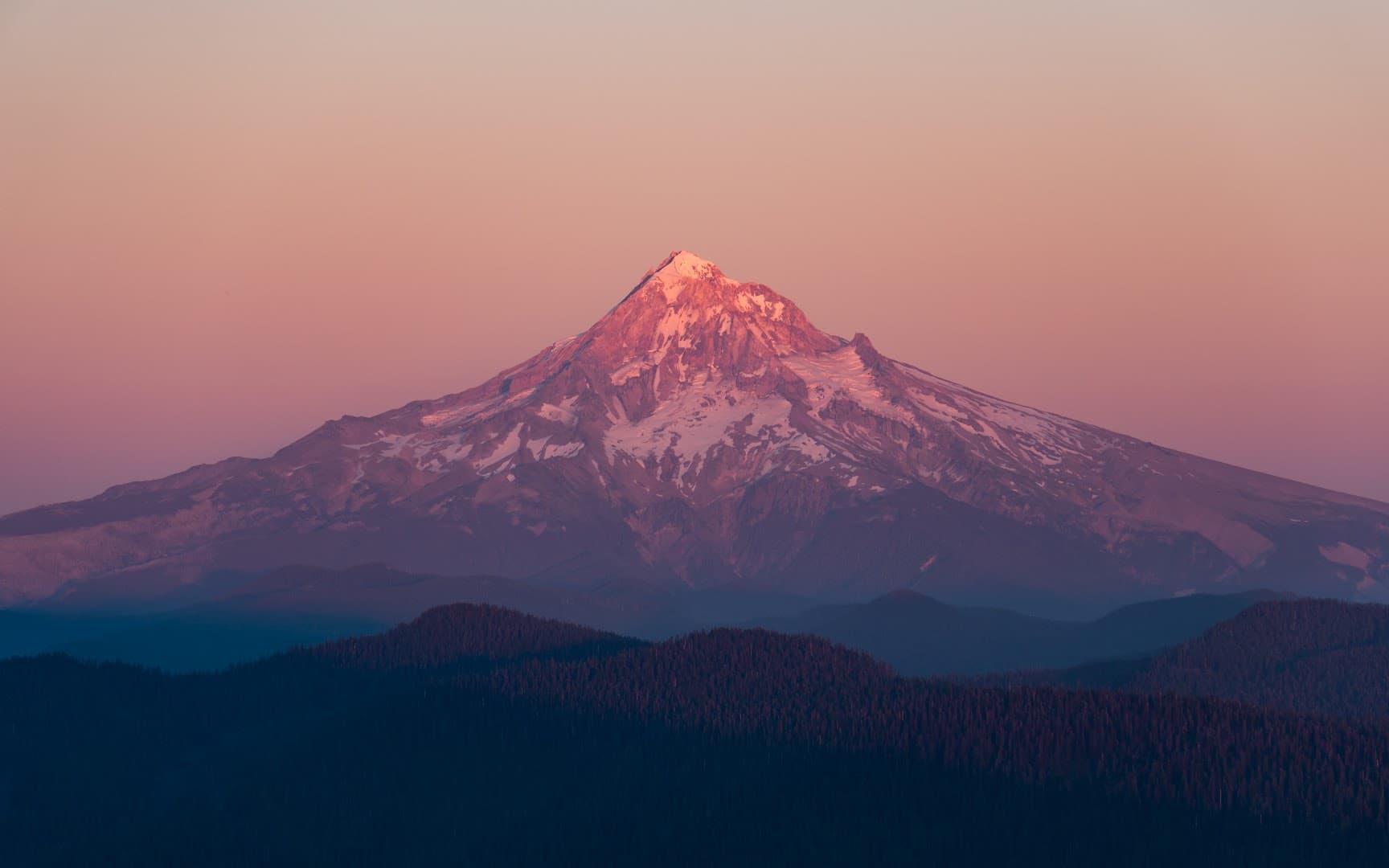 Alive Chiropractic & Rehabilitation - Photo 1