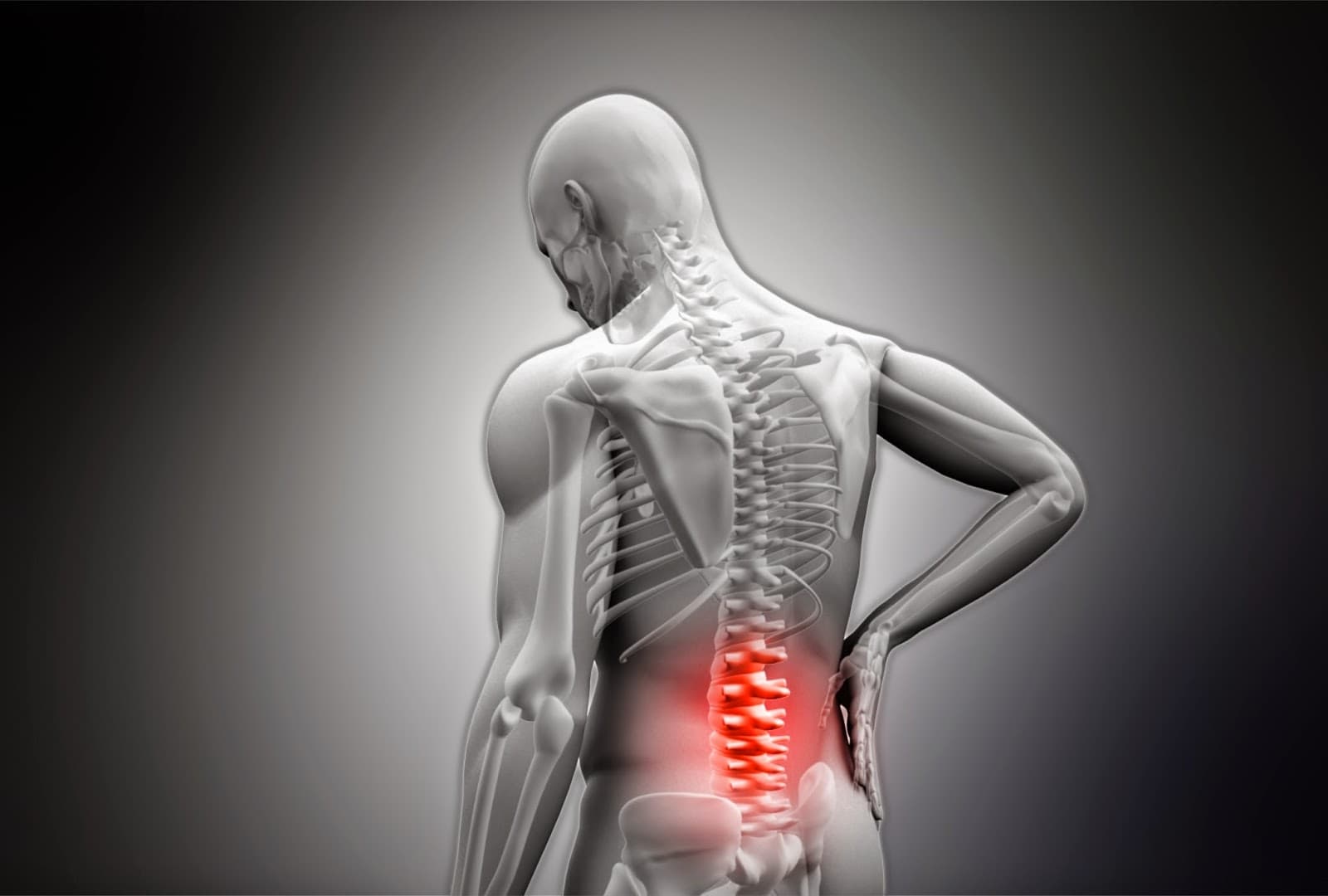 CBAD Chiropractic - Photo 1