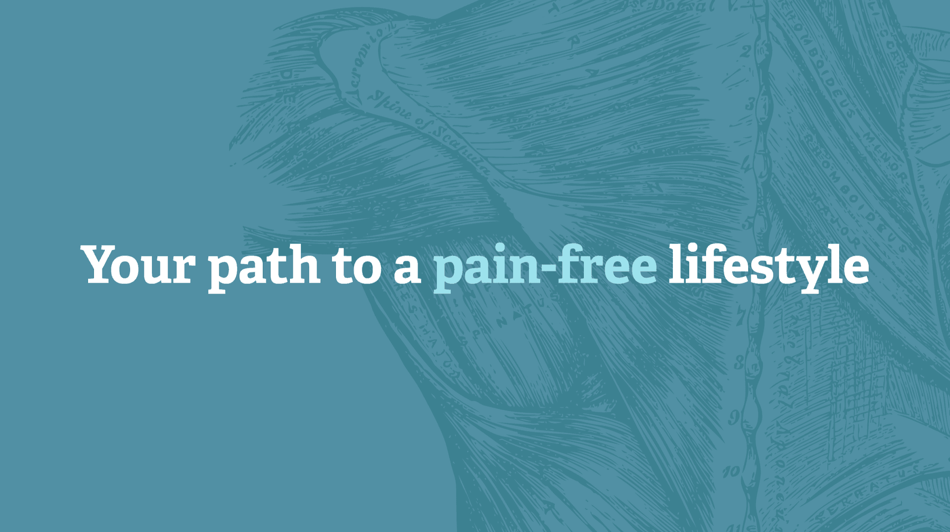 Cohen Trigger Point Center - Pittsburgh Chiropractor - Photo 1