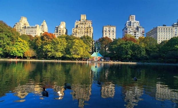 Cory W. Gold , DC - Photo 1