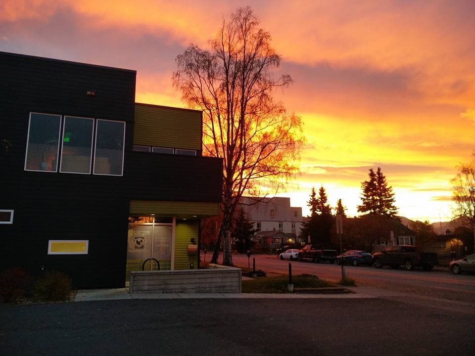 Curzie Chiropractic - Photo 1