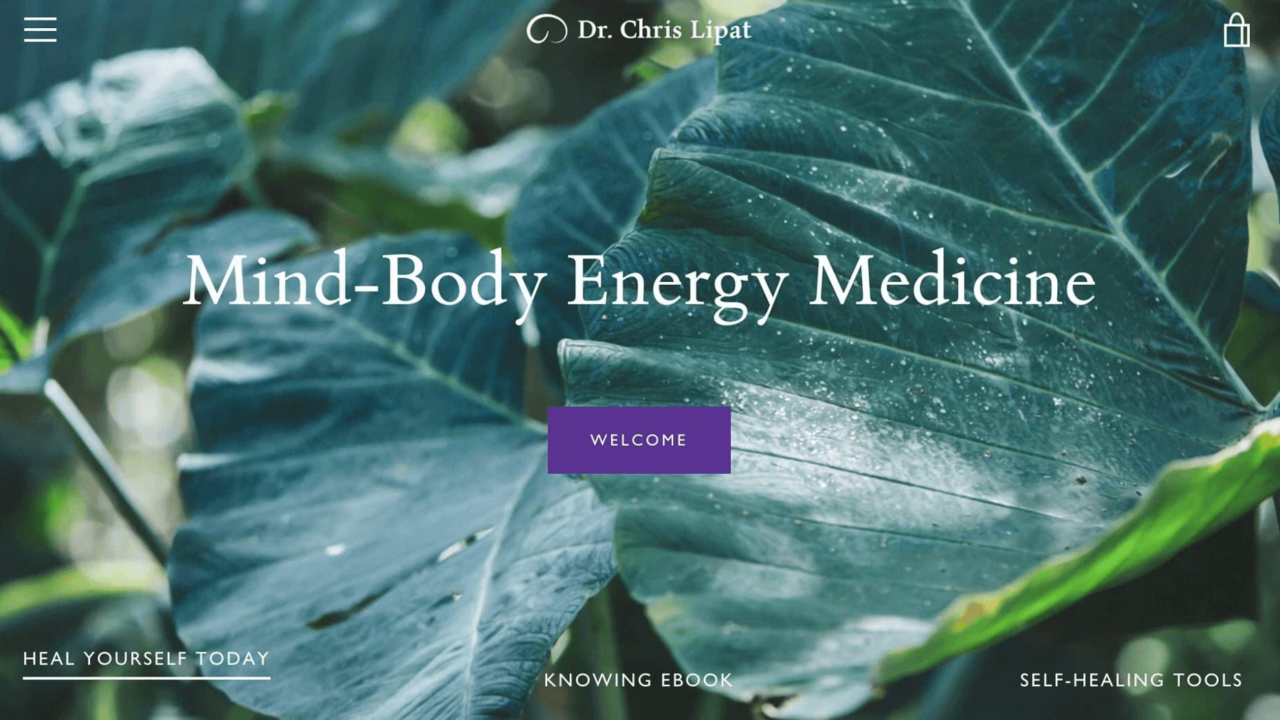 Dr. Chris Lipat DC, Mind-Body Energy Medicine - Photo 1