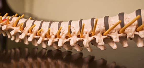 Duke Chiropractic - Photo 1