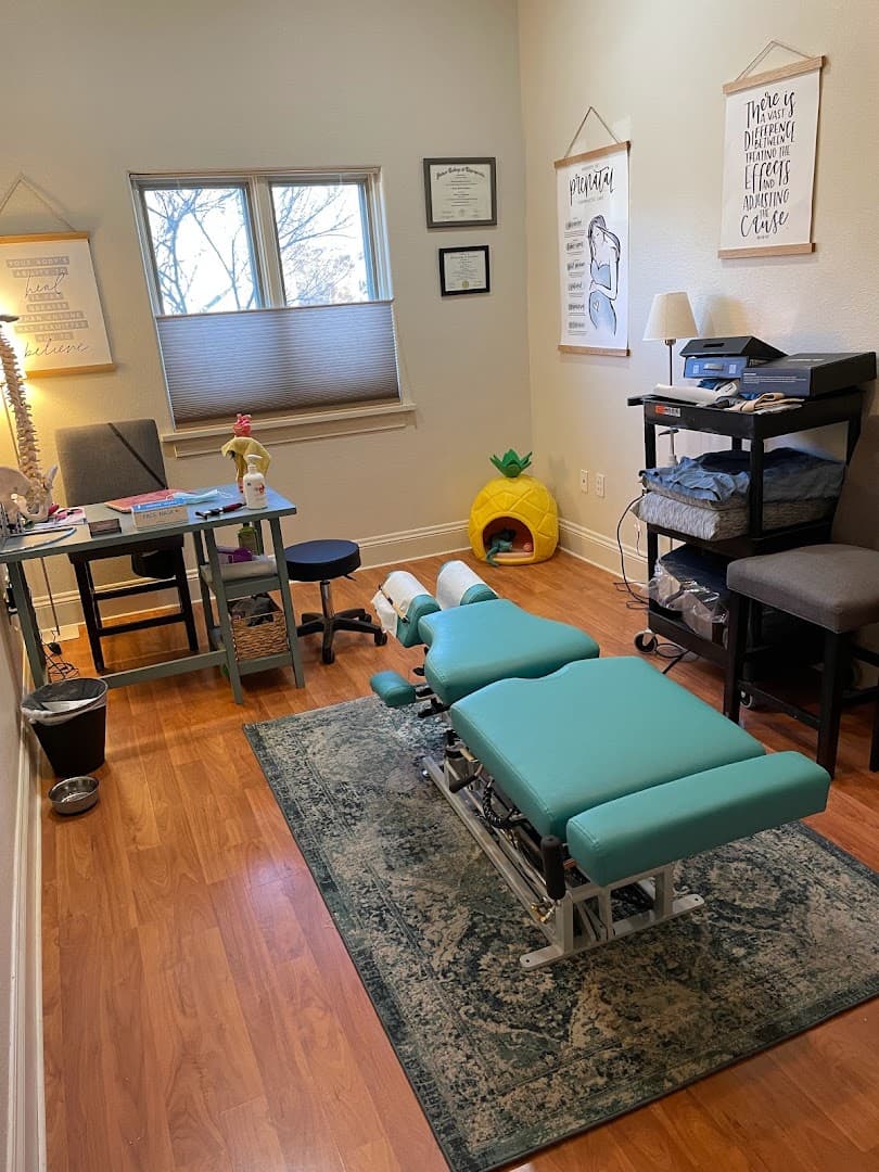 Evolve Chiropractic - Photo 1