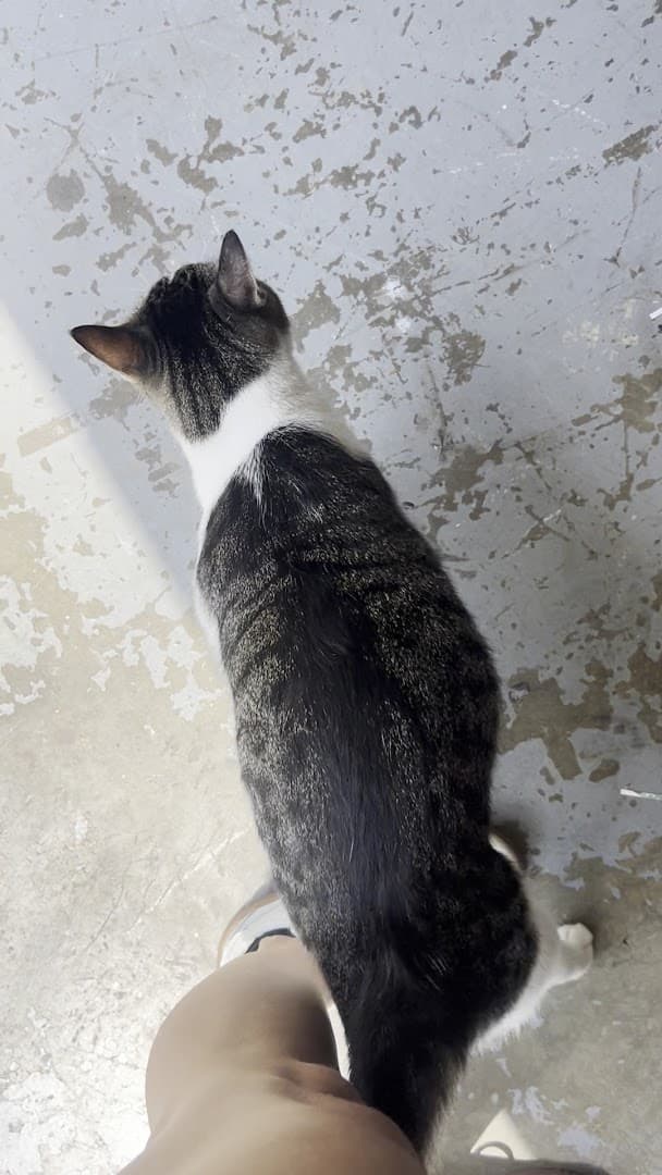 Hermitage Chiropractic and Rehabilitation - Photo 1