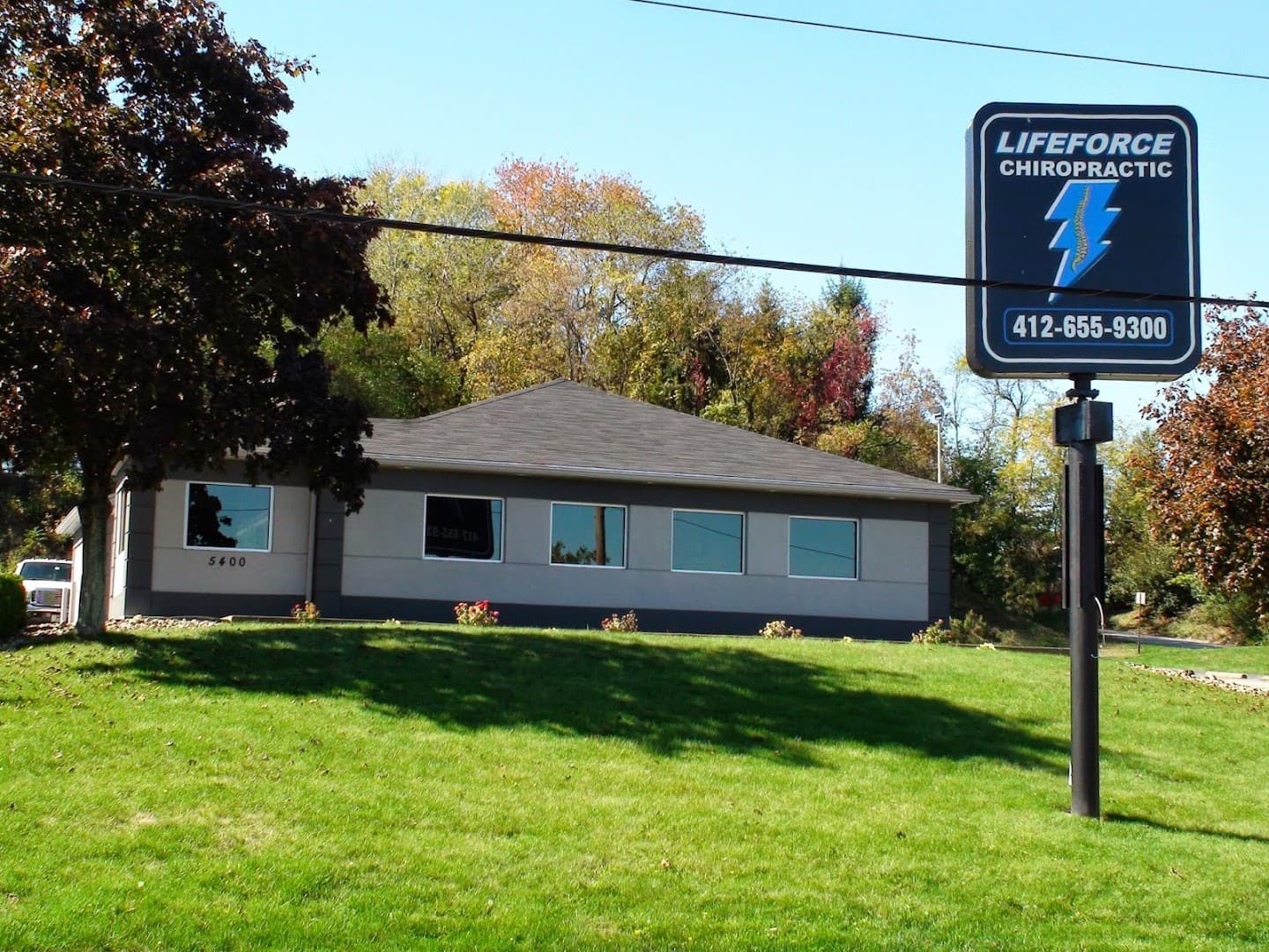 Lifeforce Chiropractic - Photo 1