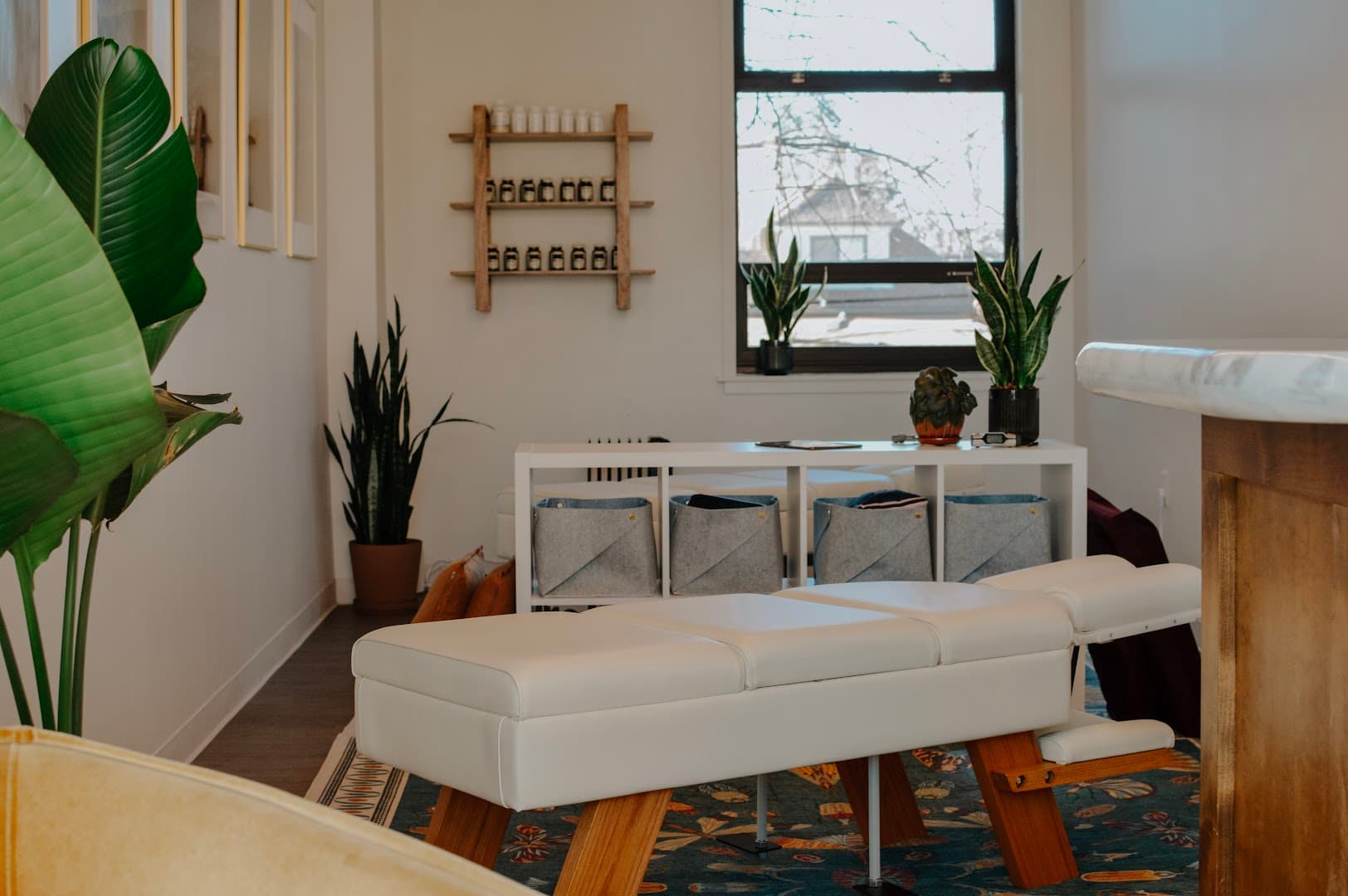 Nikau Chiropractic - Photo 1