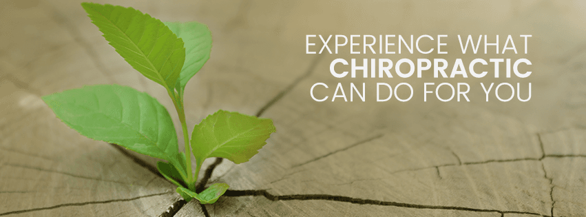 Restore Life Chiropractic - Photo 1