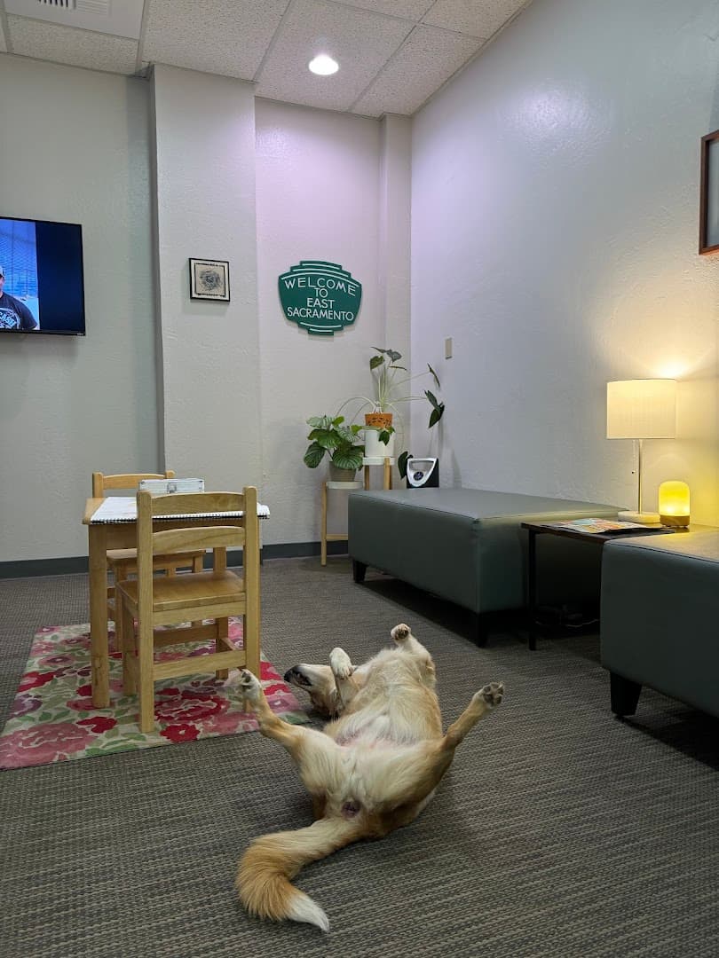 ACME Chiropractic - Photo 1