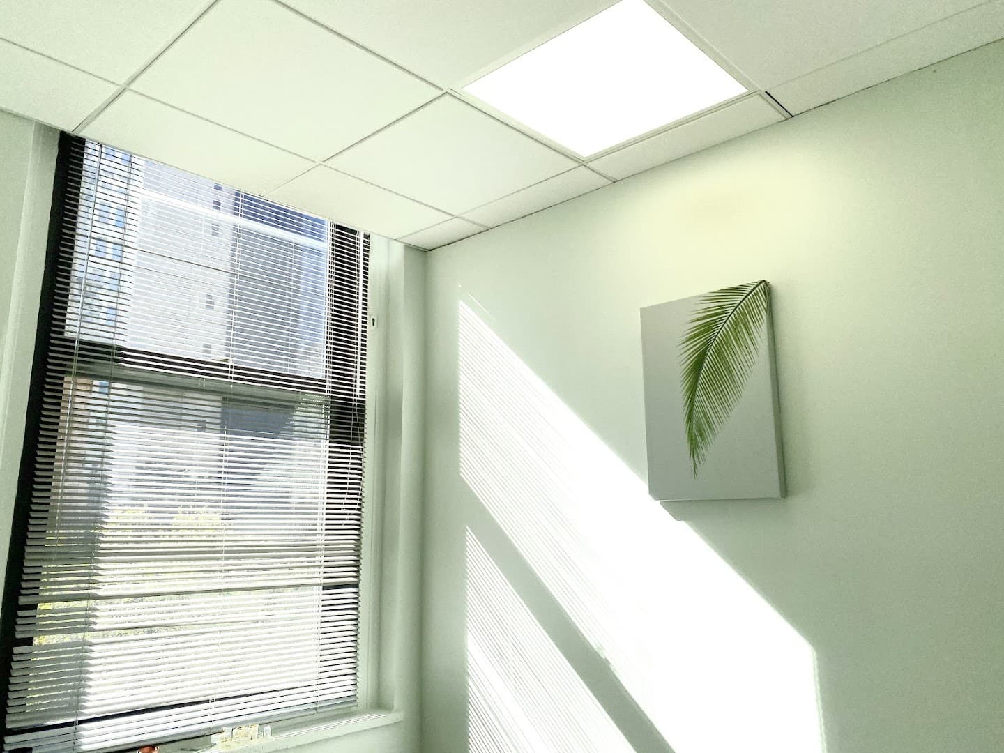 Apex Acupuncture and Chiropractic - Downtown FIDI - Photo 1