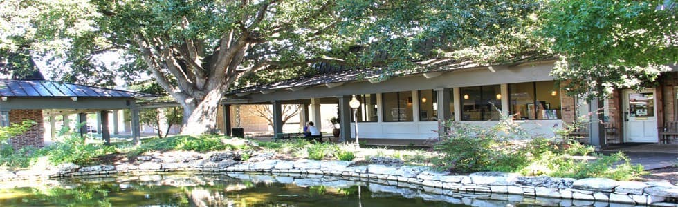 Austin Life Chiropractic - Photo 1