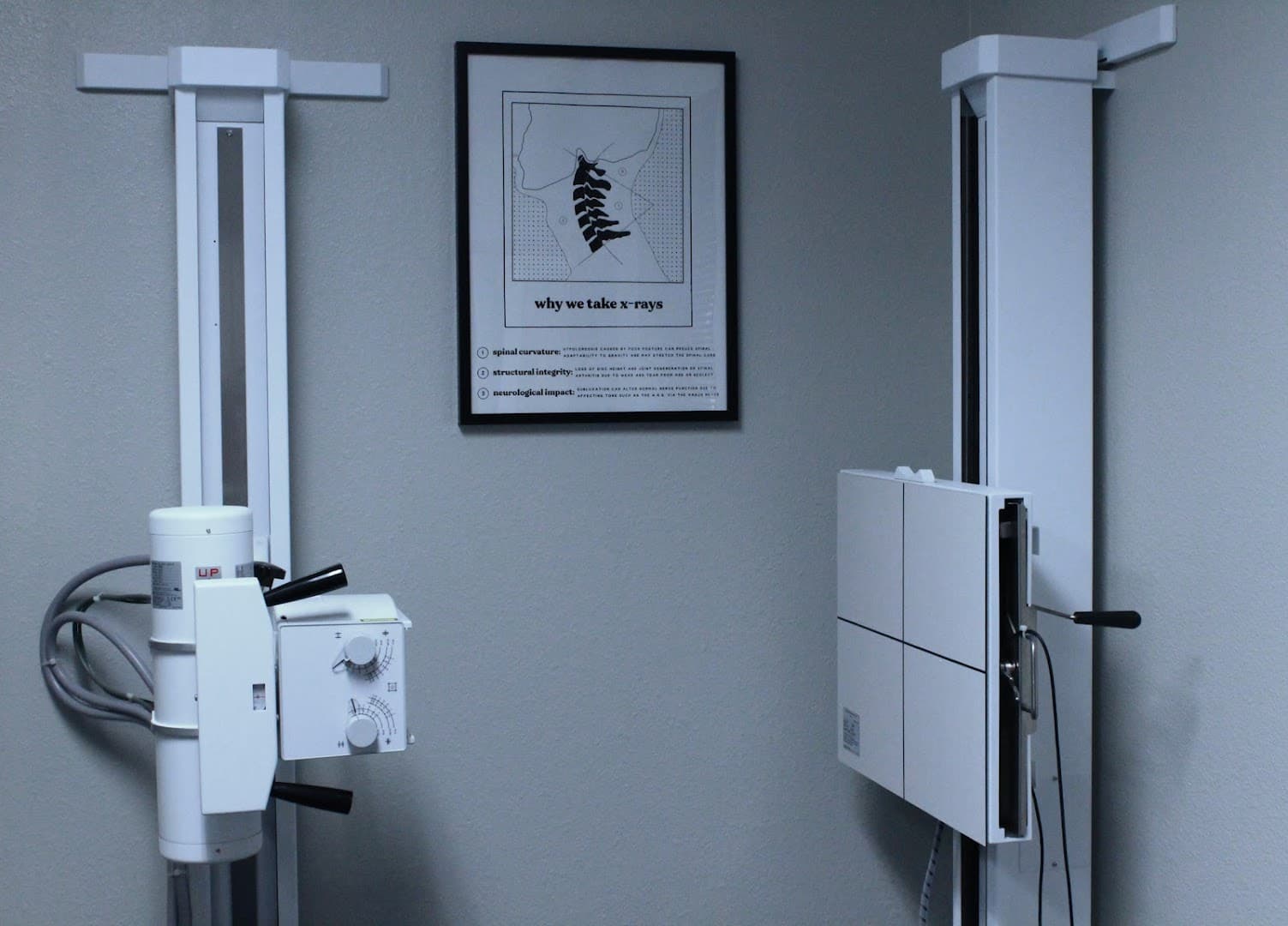 Back to Life Chiropractic - Photo 1