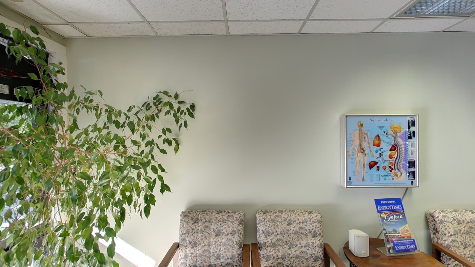 Beth Blakely Chiropractic - Photo 1