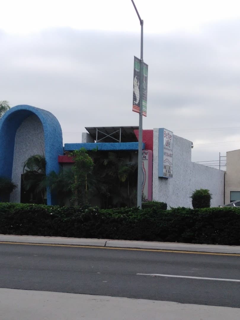 Better Life Chiropractic - Photo 1