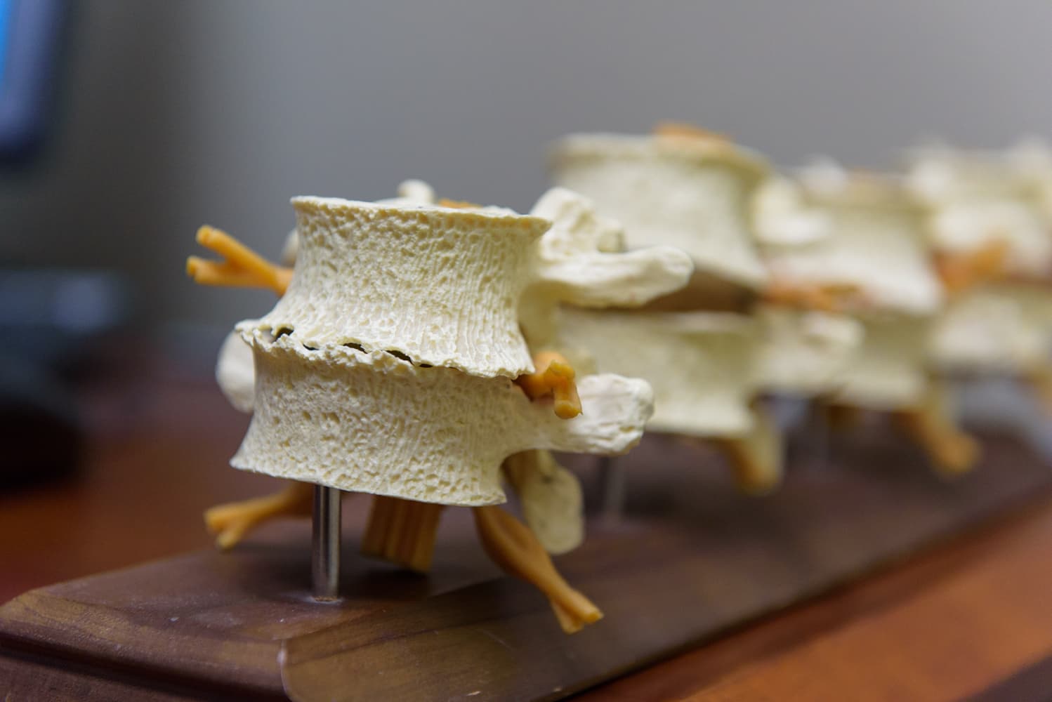 Brookfield Chiropractic - Photo 1