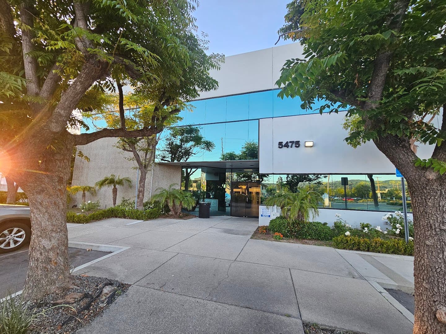 Chiroevolution | Diana L Lawson DC - Photo 1