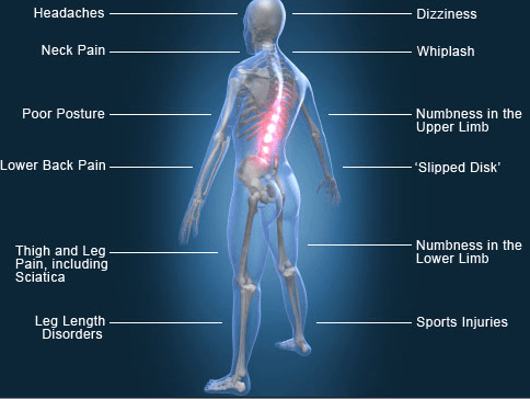 Chiropractic Corrections - Photo 1