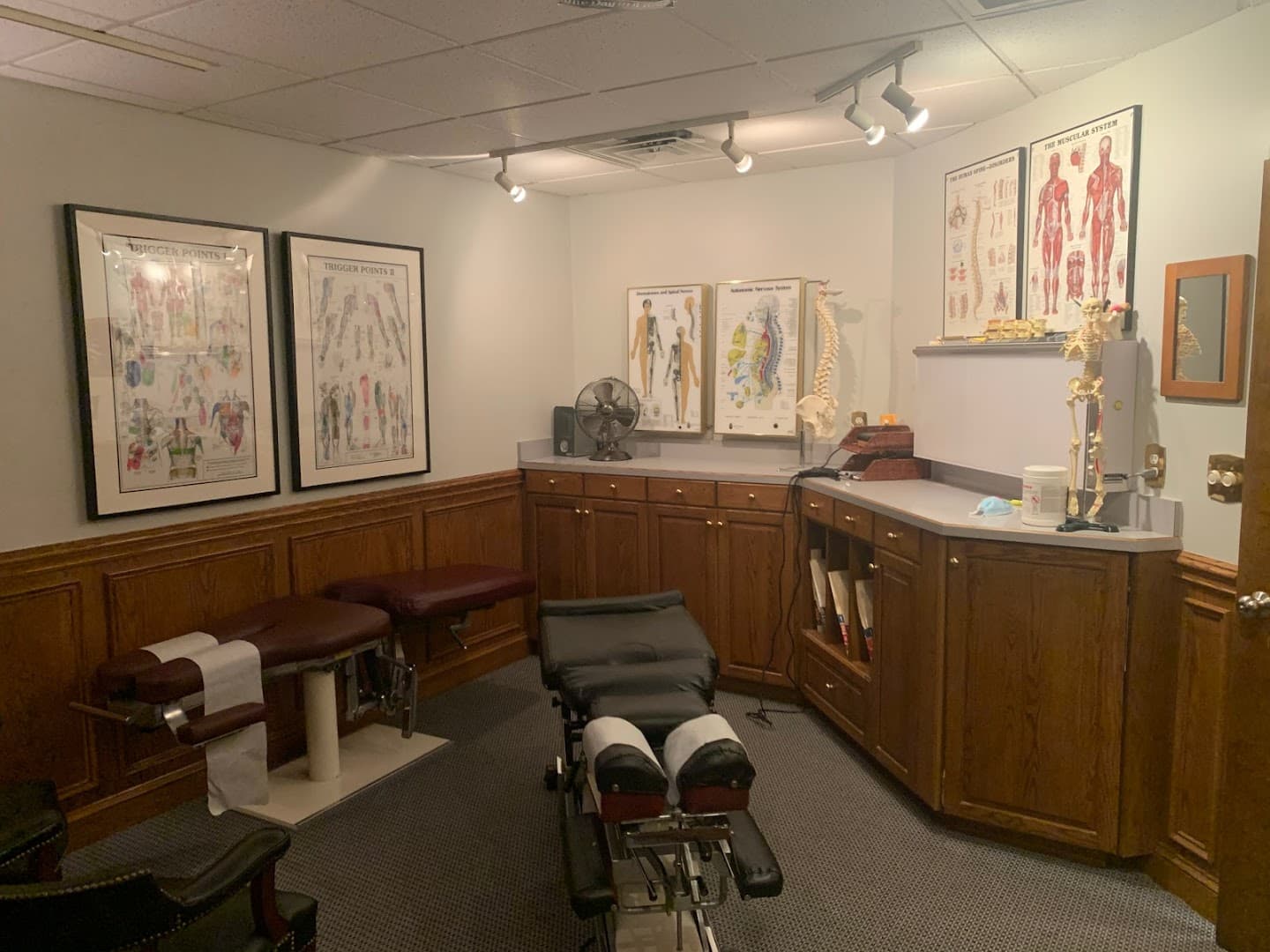 Chiropractic Partners - Dr. Brian Ransone - Photo 1