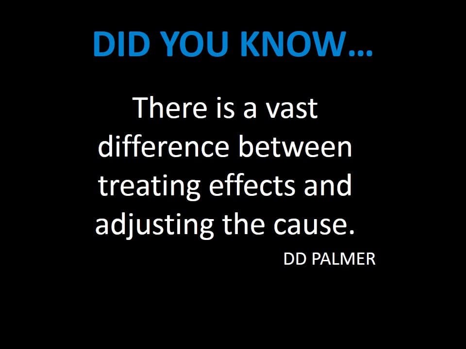 Chiropractic USA- Robert Graykowski, DC - Photo 1