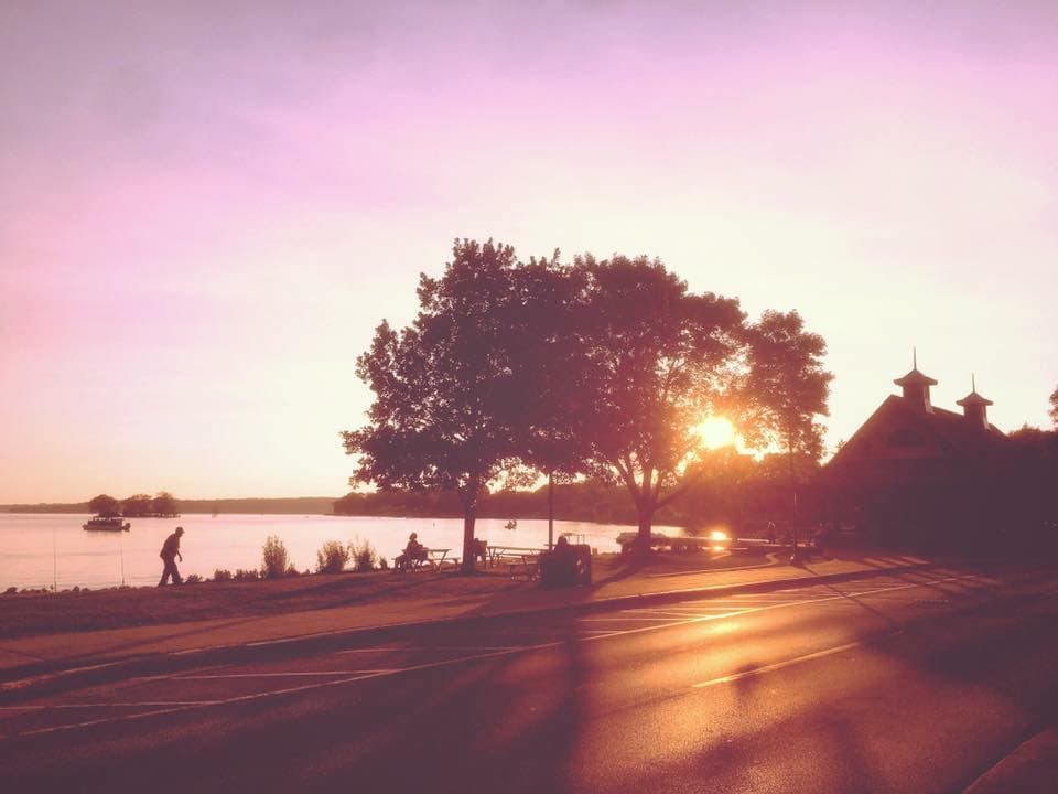 Chiropractic & Wellness - Photo 1