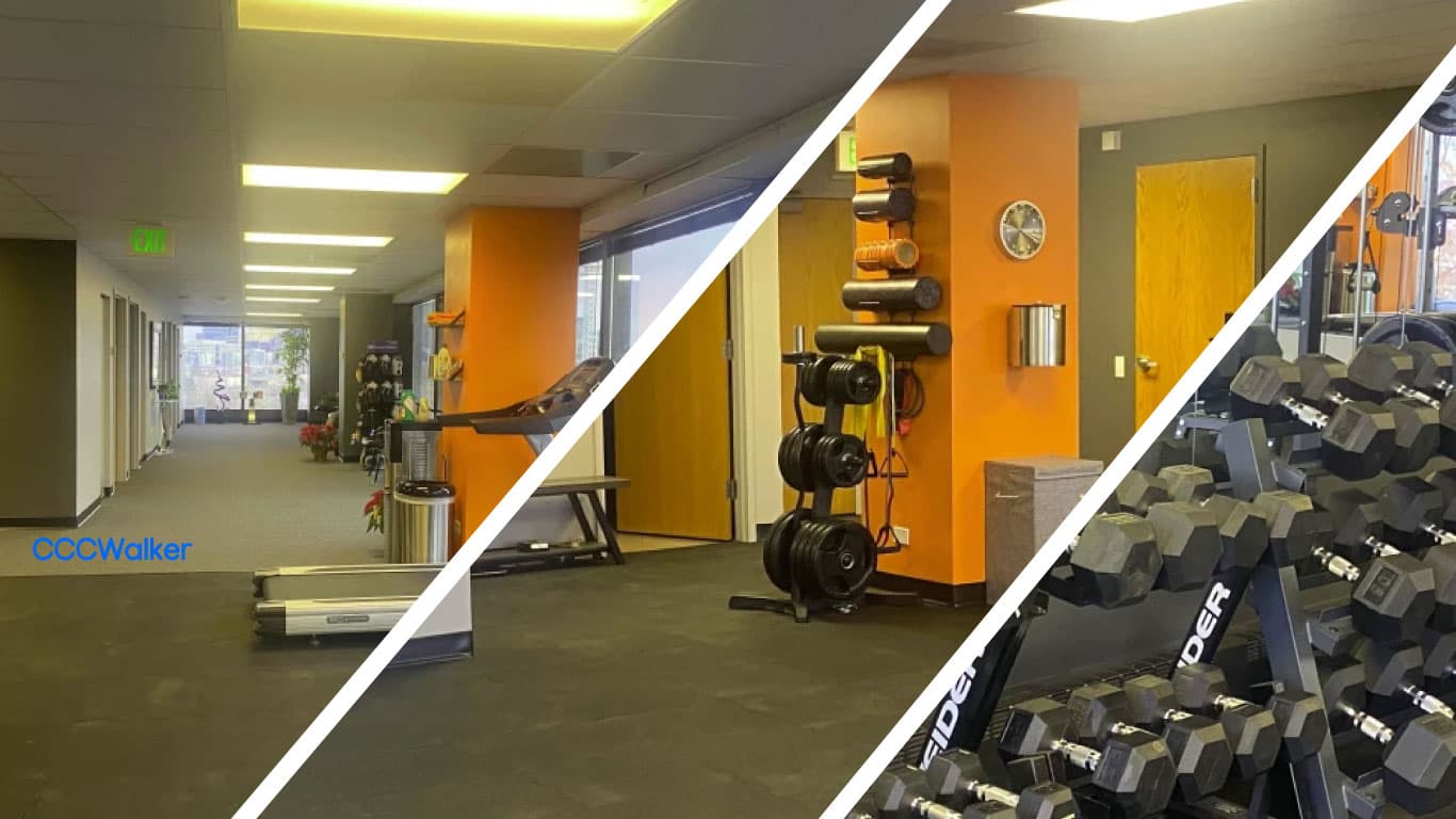 Colorado Chiropractic and Rehabilitation Center, LLC - Photo 1