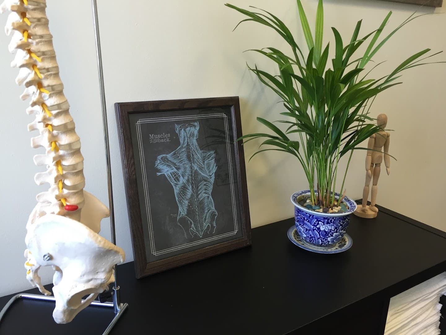 Conscious Chiropractic Care - Dr. Daniel Katrikh, DC - Photo 1