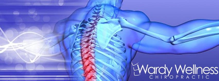 David J. Wardy, DC - Photo 1