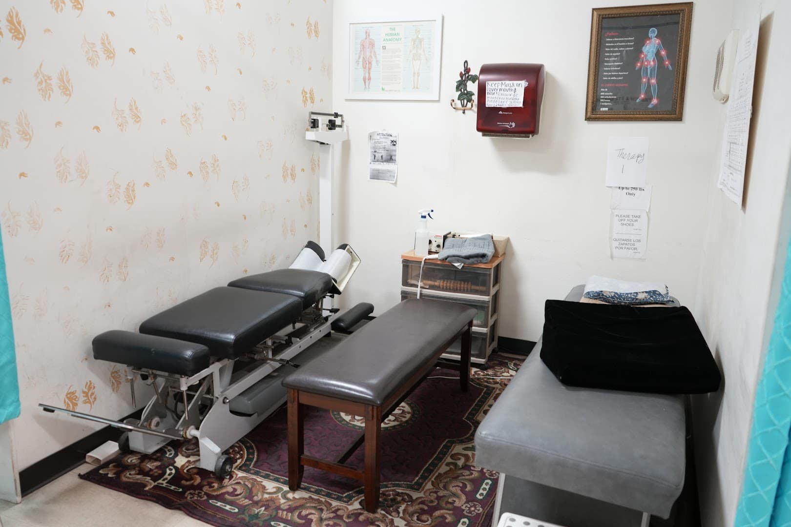 Dr. Arta Babak, DC - Photo 1