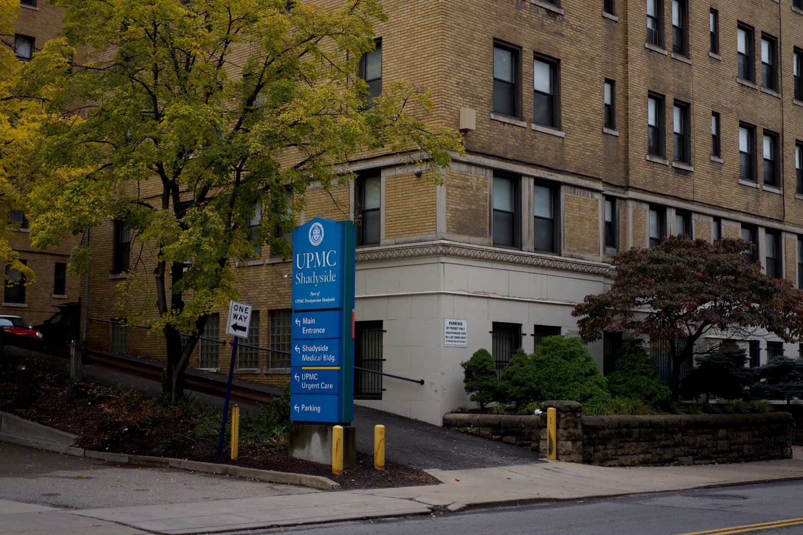 Dr. Kim, Chiropractor (Chiropractic Pittsburgh) Shadyside - Photo 1