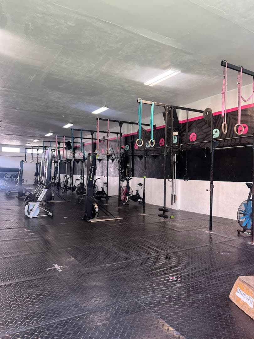 Dr. Melissa Cruz - Miami Beach Chiropractor - Photo 1