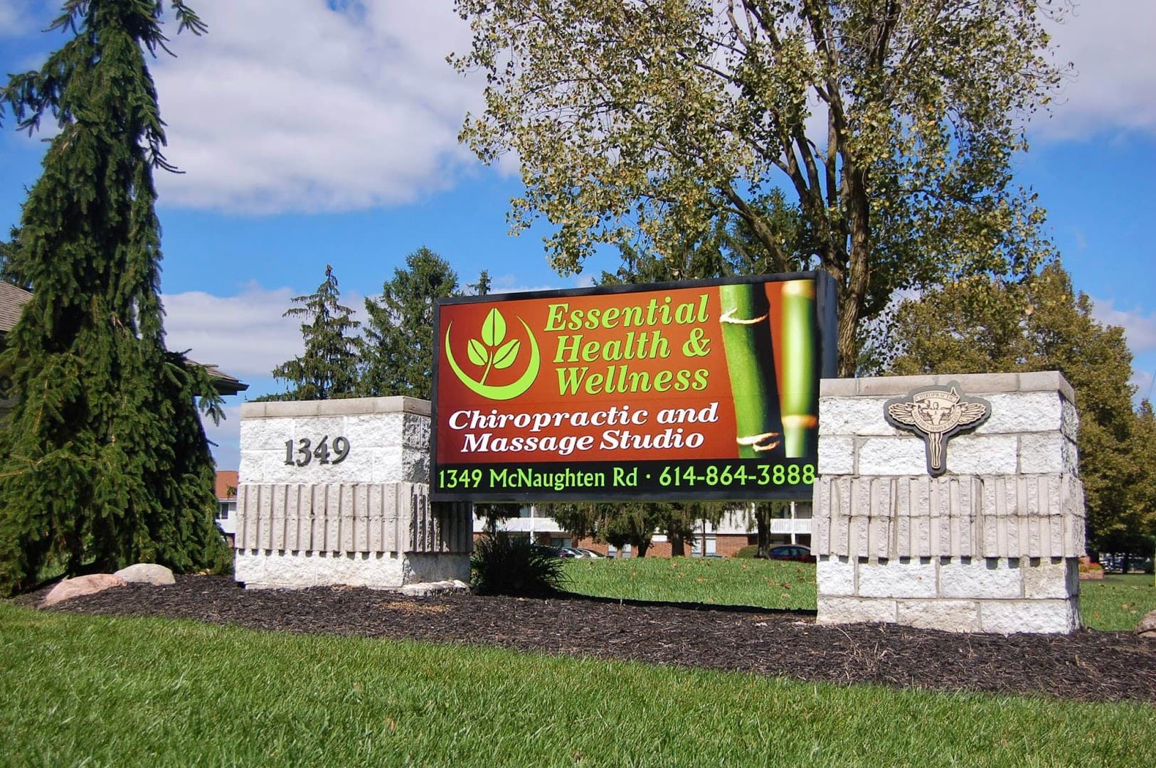 Essential Health & Wellness Chiropractic and Massage - Photo 1