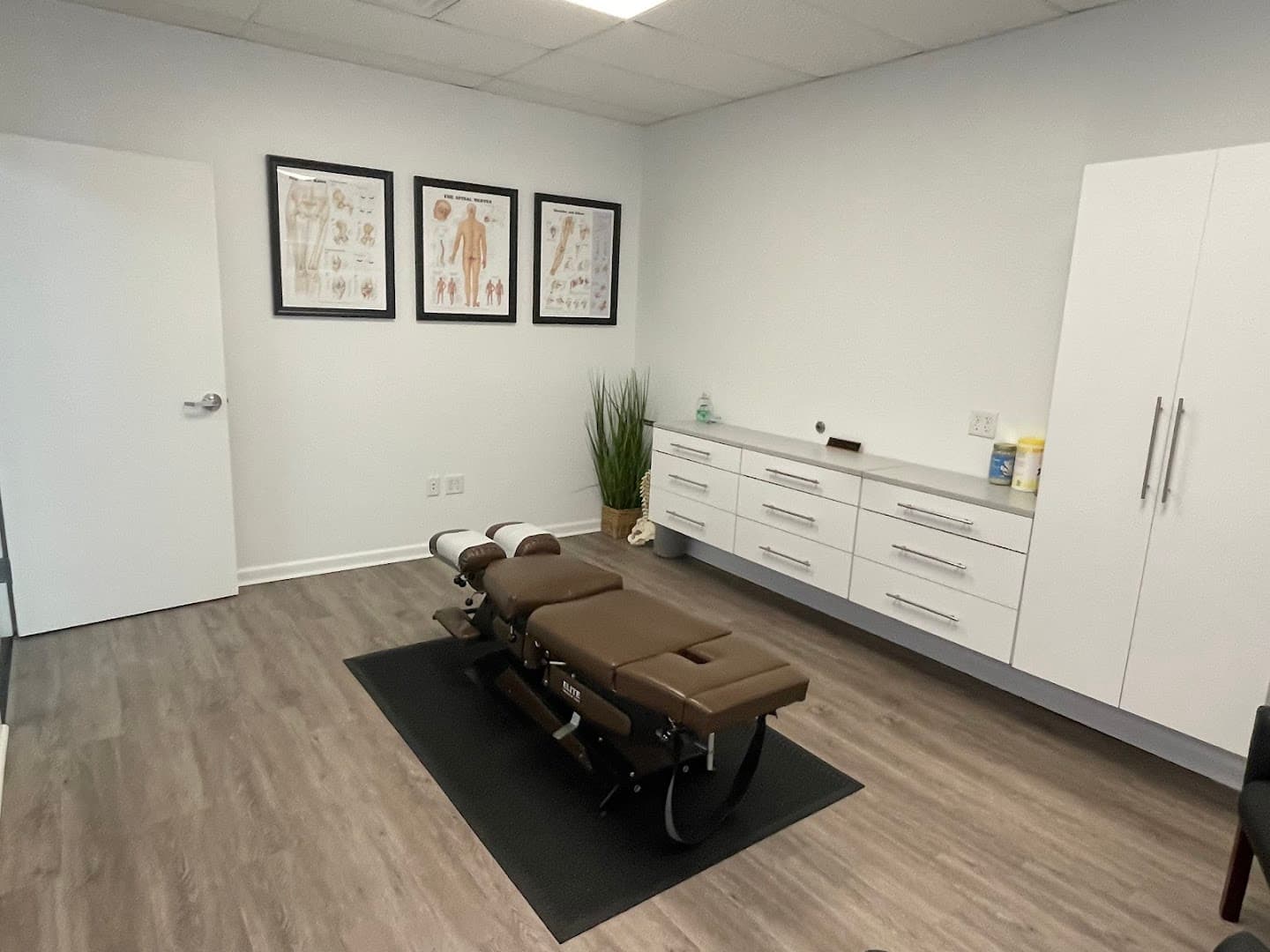 Feroce Spine & Rehabilitation - Photo 1