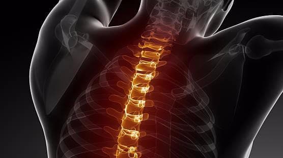 Ganesh Chiropractic PLLC - Photo 1