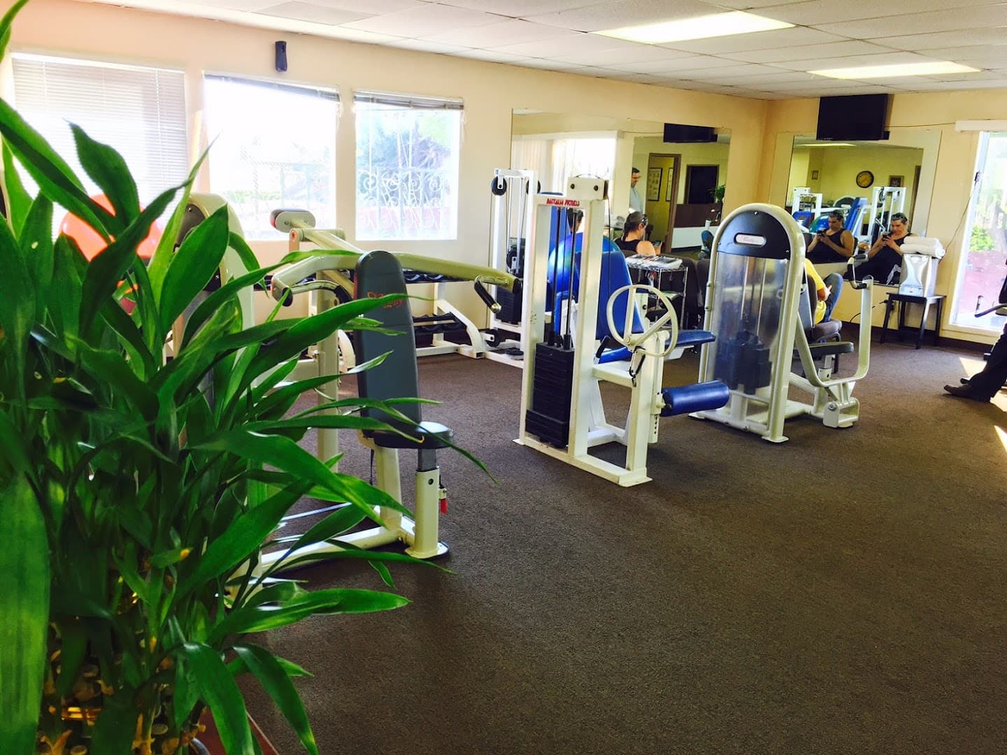 Idriss Chiropractic - Photo 1