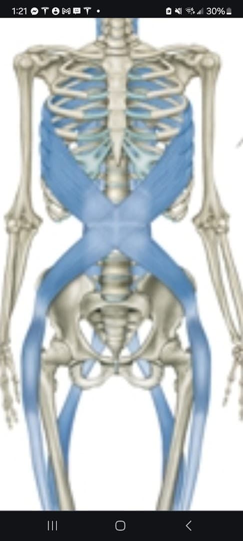 Infinity Chiropractic - Photo 1