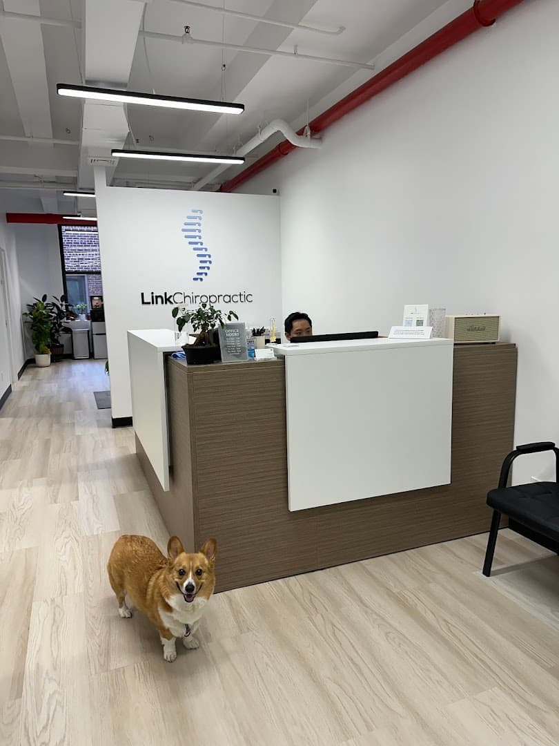 Link Chiropractic - Photo 1