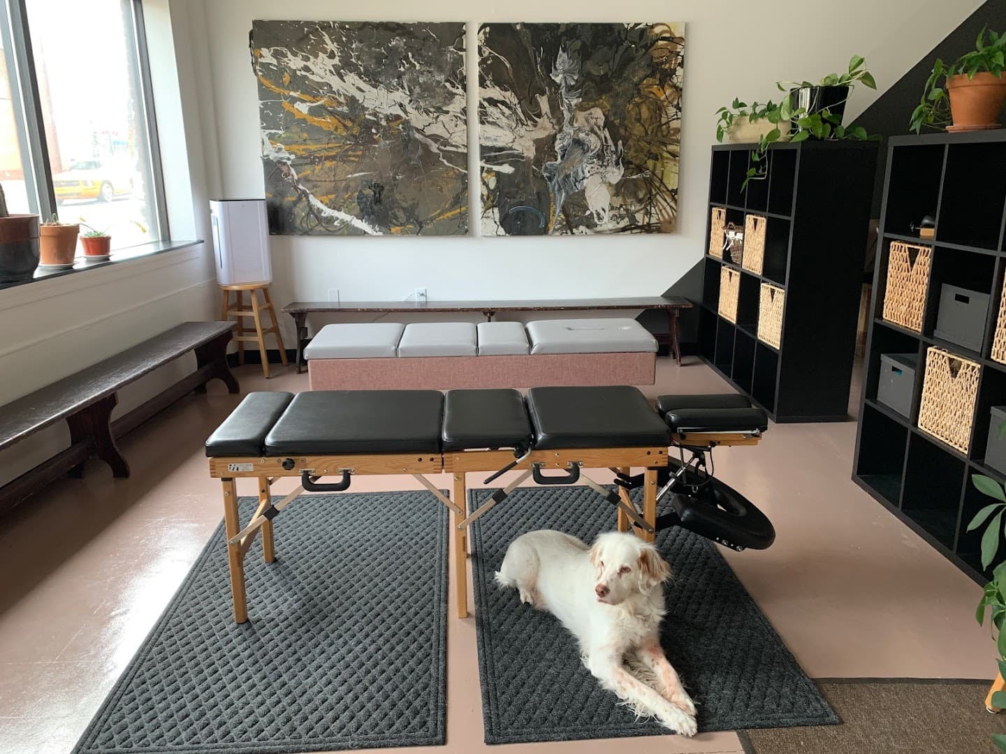 Lucid Chiropractic Clinic - Photo 1