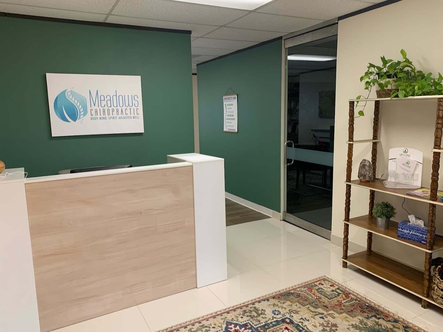 Meadows Chiropractic and Laser Center - Photo 1