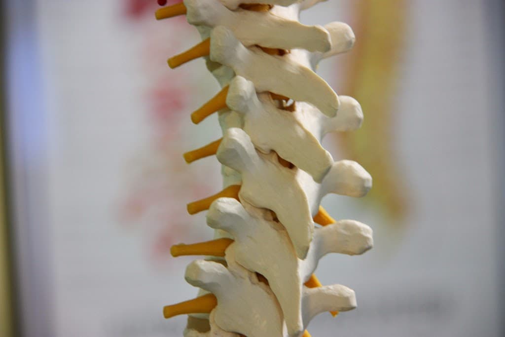 Miami Holistic Chiropractors - Photo 1