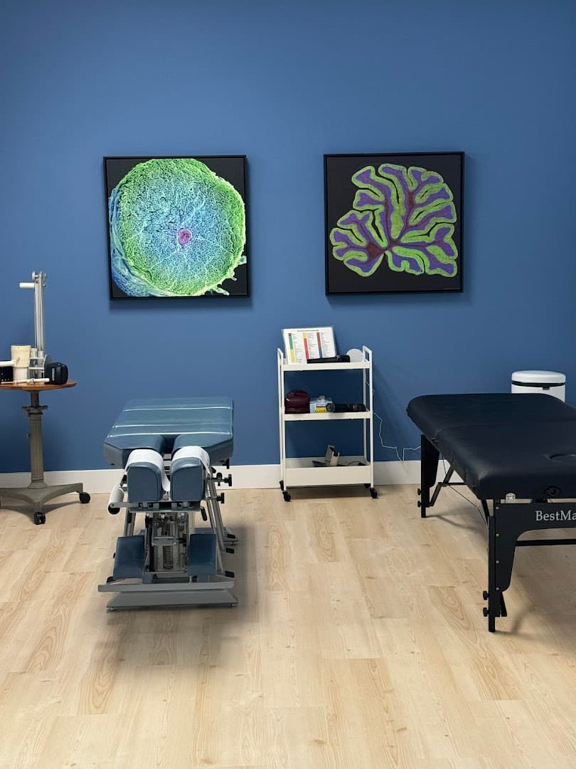 Oasis Chiropractic Center - Photo 1