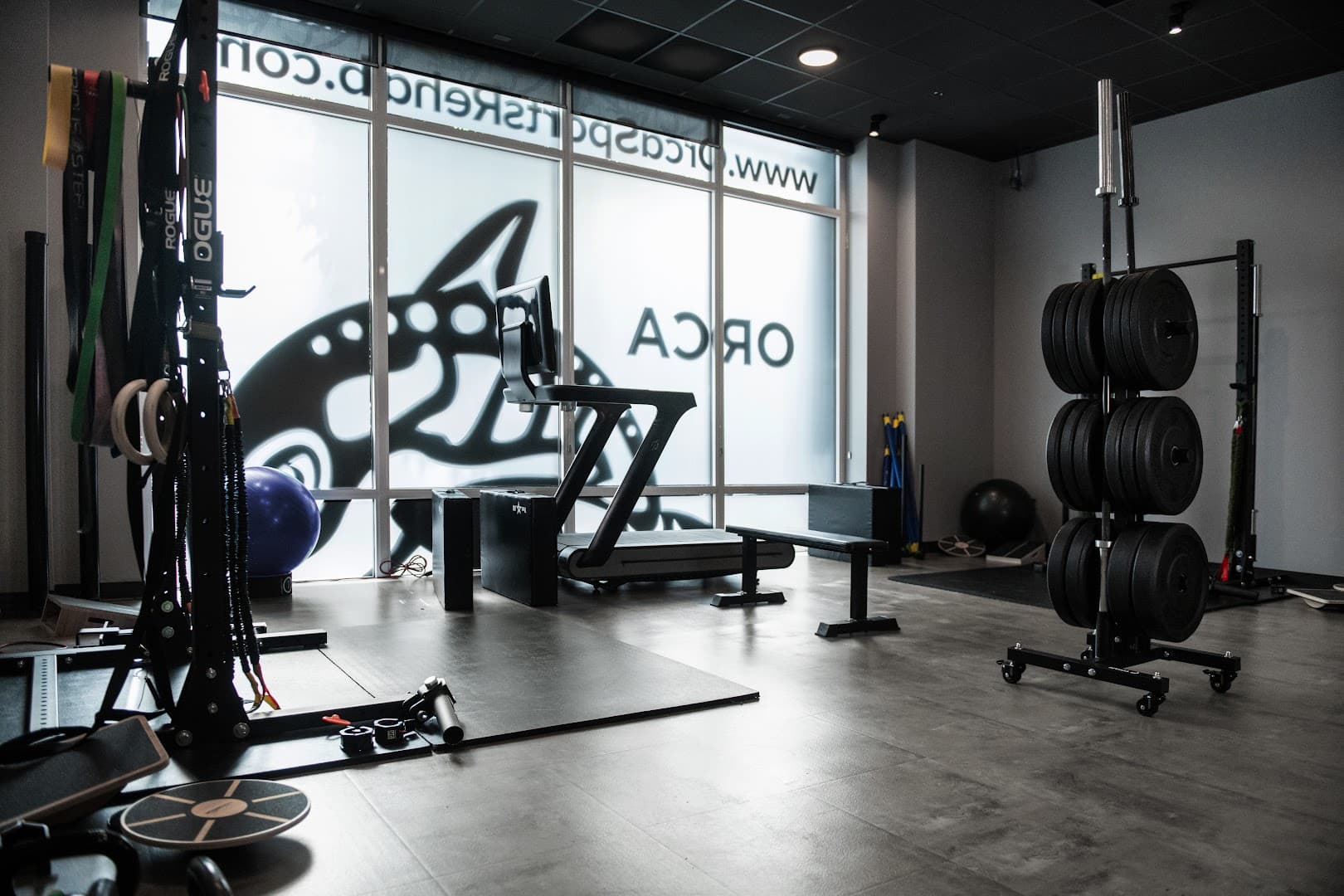 Orca Chiropractic Sports Rehab - Photo 1