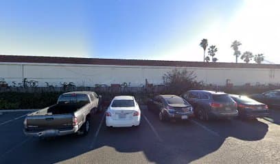 Performance Chiropractic - Photo 1