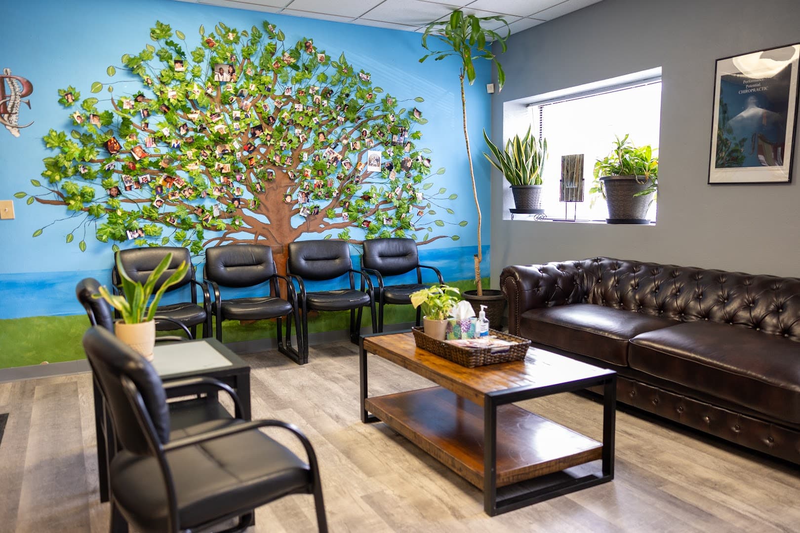 Proficient Chiropractic - Photo 1