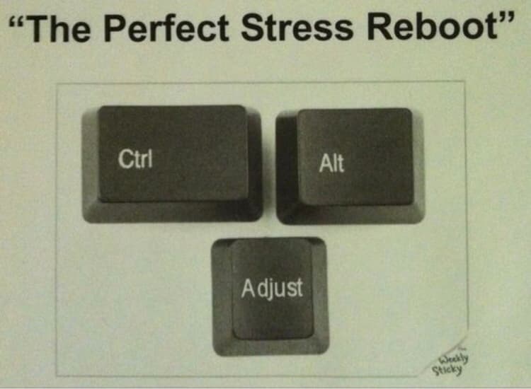 Rehab Team of Michigan - Photo 1