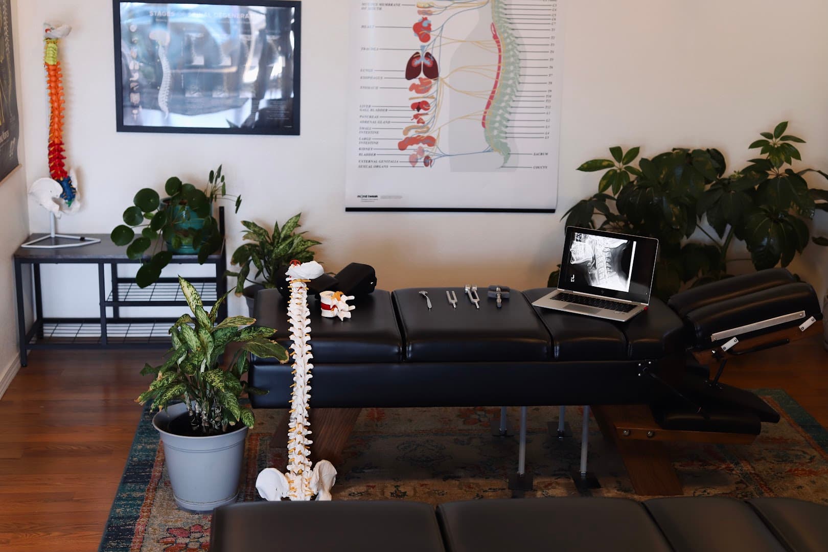 Root and Stem Chiropractic - Photo 1