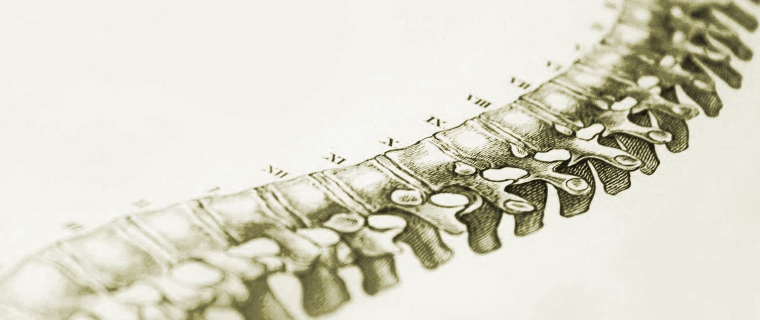 Sheridan Chiropractic - Photo 1