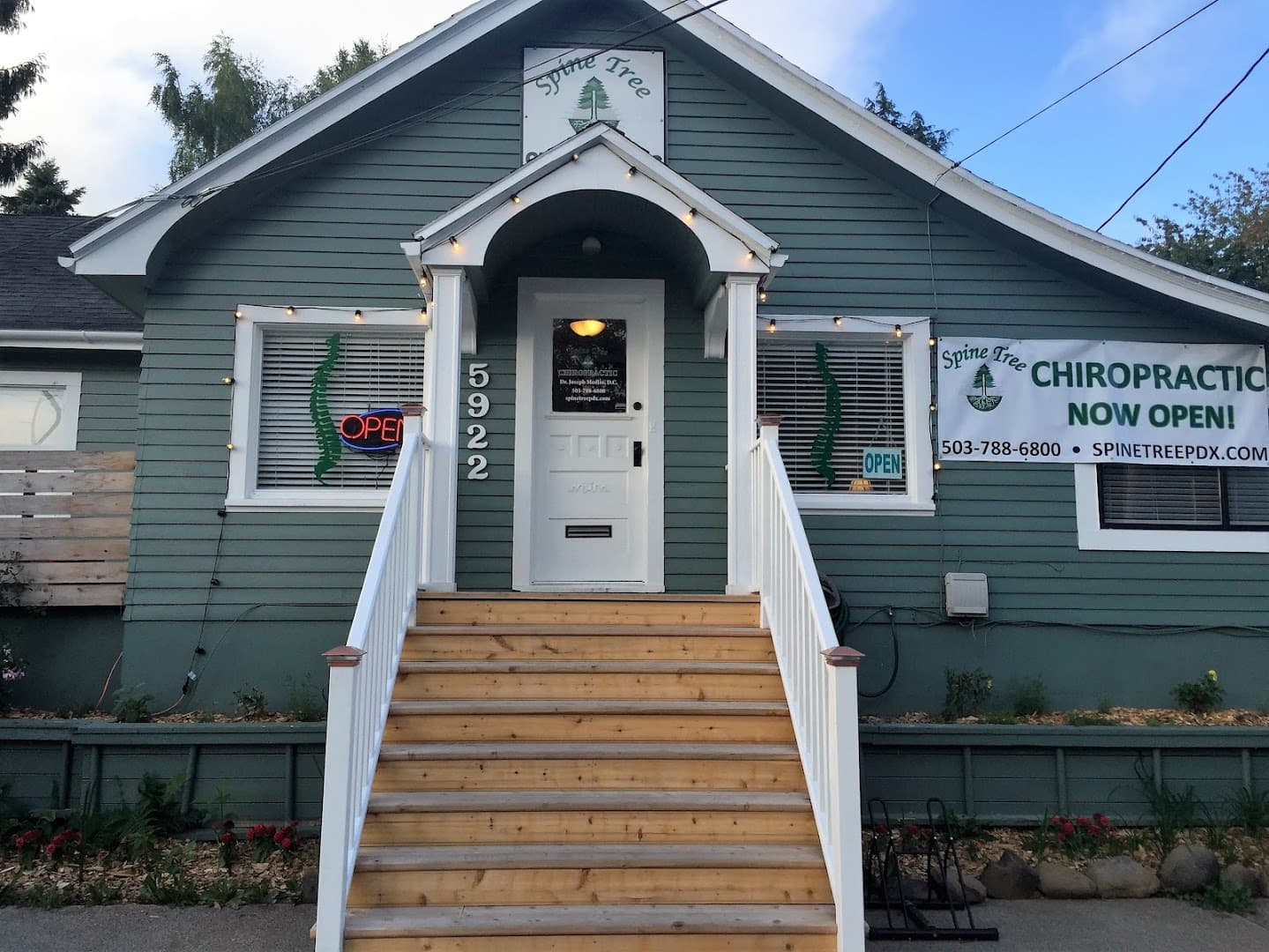 Spine Tree Chiropractic - Photo 1