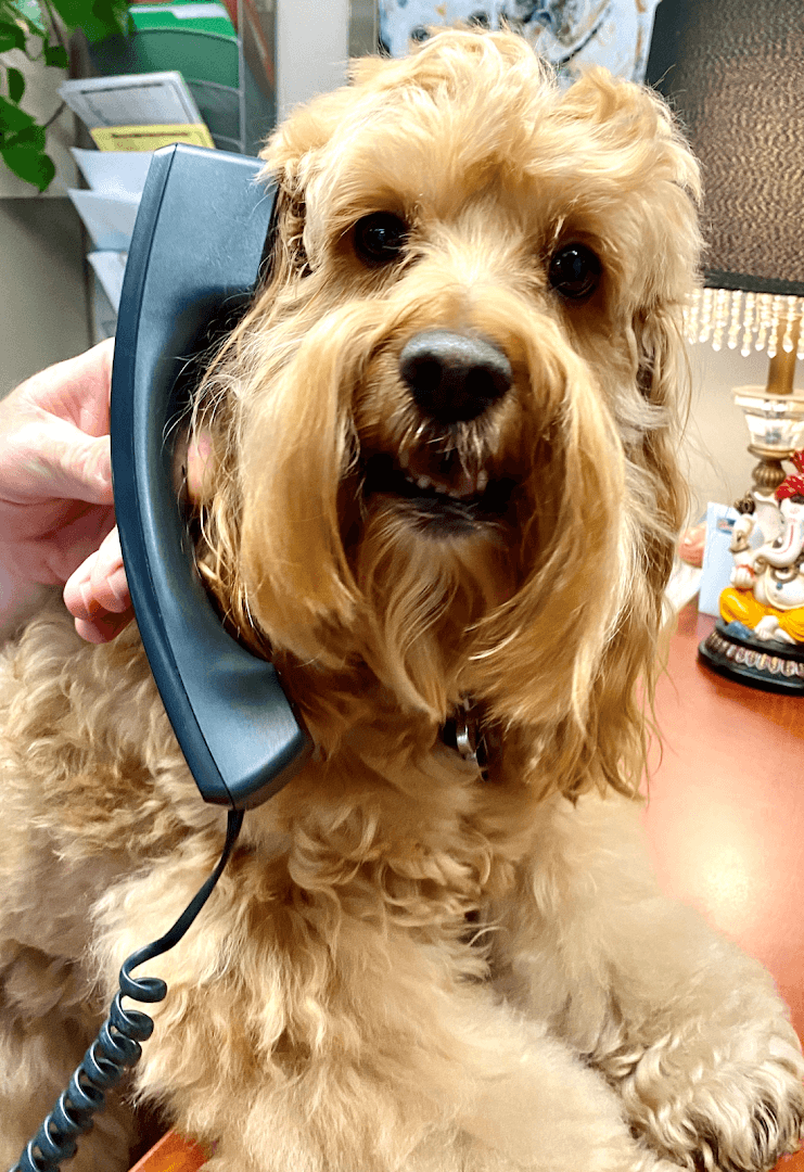 The Healing Touch Chiropractic - Photo 1