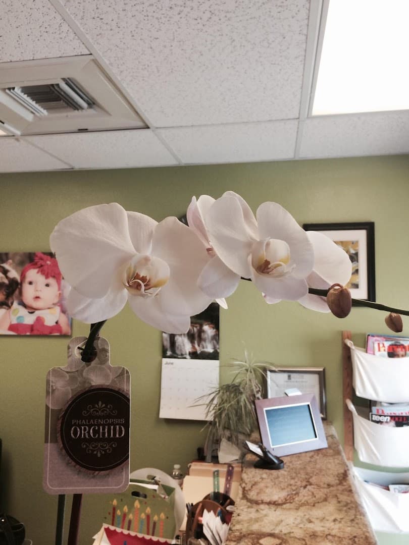 Thrive: a chiropractic wellness center - Photo 1